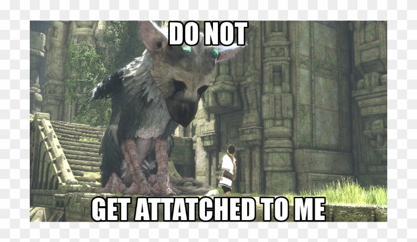 [the Last Guardian] Knowing That This Game Takes Place - Last Guardian Jacksepticeye Meme Clipart #5812085