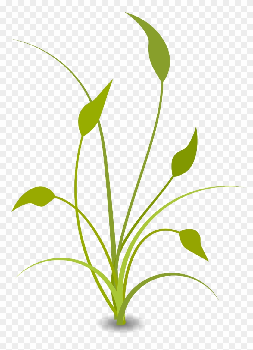 Plant Leaves Grad Green Png Image - Nature Clipart Transparent #5812552