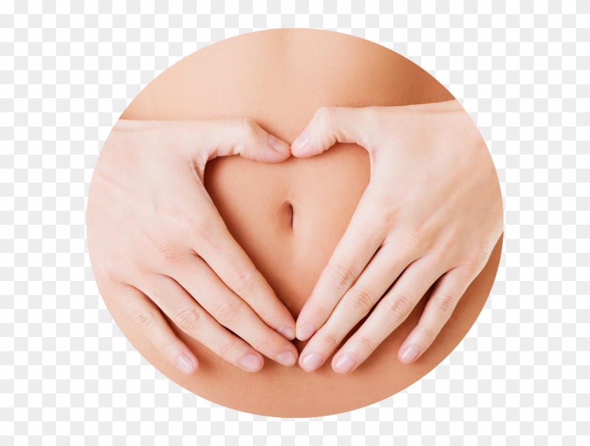 Feel Healthy, Light, Clean & Full Of Energy With Colon - Fisioterapia Saude Da Mulher Clipart