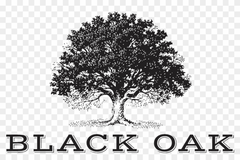 Black On Transparent Png Download - Auburn Valley Golf Logo Clipart