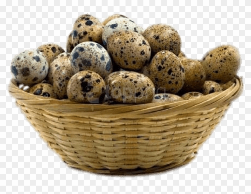 Download Basket Of Quail Eggs Png Images Background - Quail Eggs Clipart #5814897