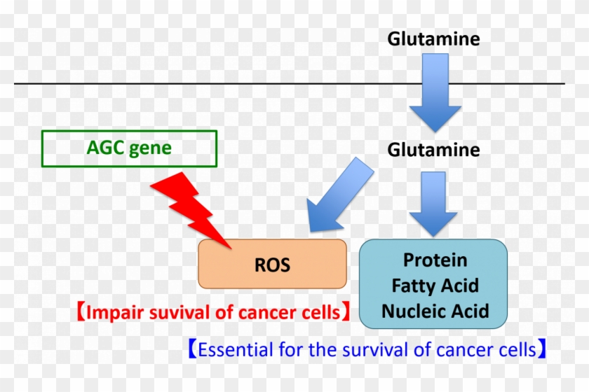 Cancer And Glutamine Clipart #5815108