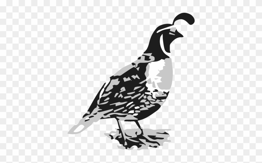 Cropped-quail - Quail Illustration Clipart #5815550