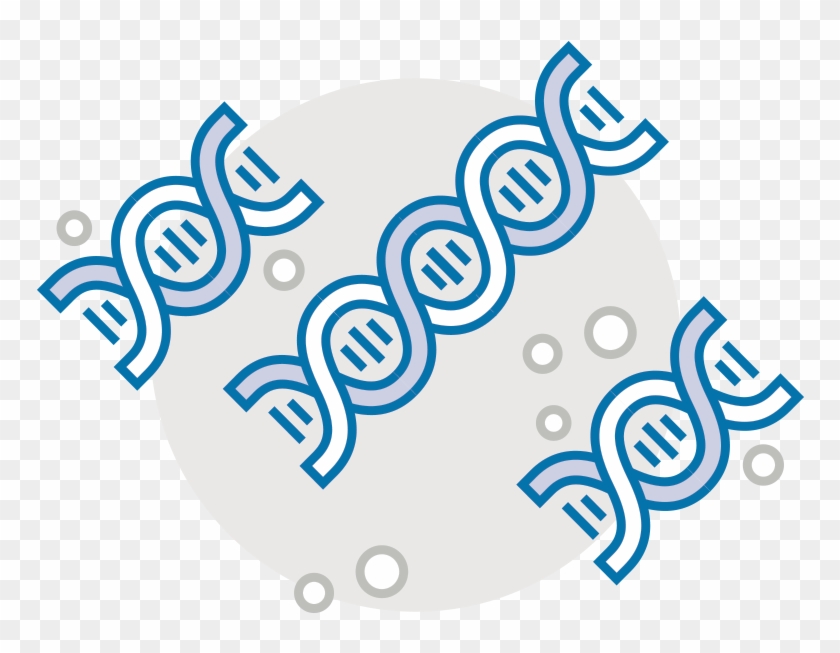 Being Able To Detect Chromosomal Abnormalities, Screen - Genetic Disorders Png Clipart