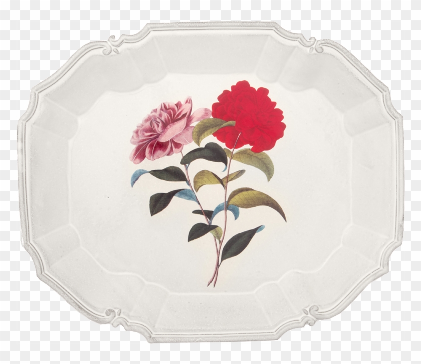 Poinsettia Clipart #5817264