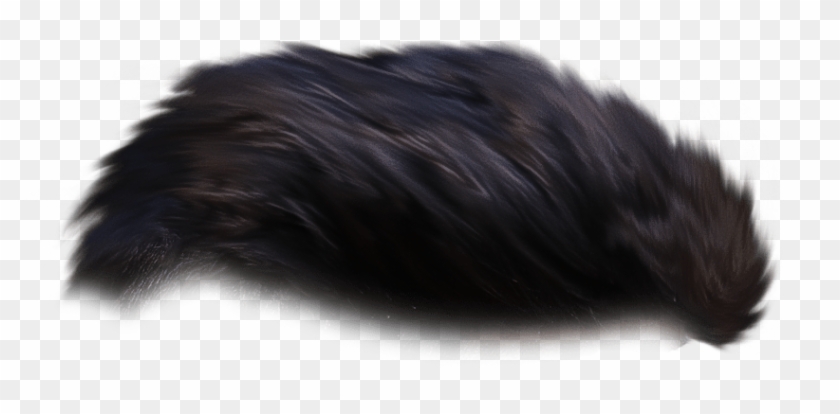 Hair Png - Marine Mammal Clipart #5817564