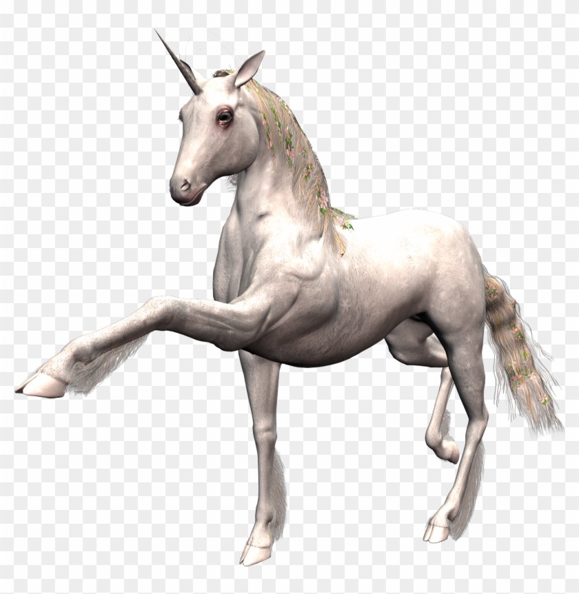 Imágenes Y Gifs De Unicornios - Unicornio Animada Gif Transparente Clipart #5818584