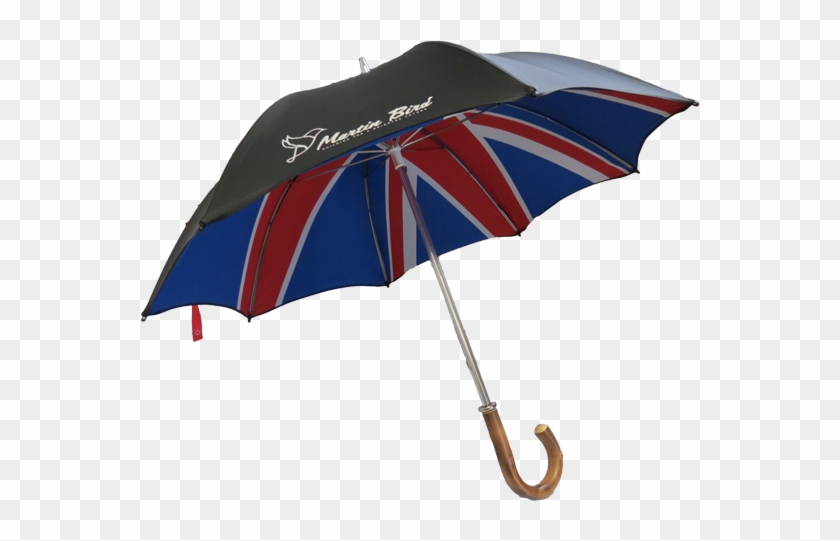 Umbrella Clipart #5818709