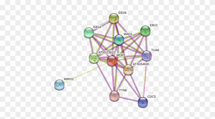 Circle Clipart #5819124