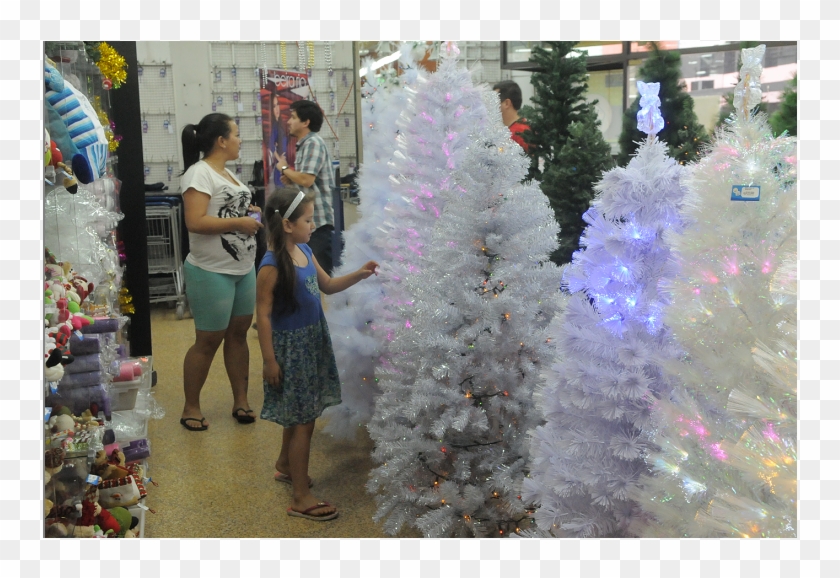 Los Árboles De Navidad Blancos También Son Solicitados - Christmas Lights Clipart #5820044