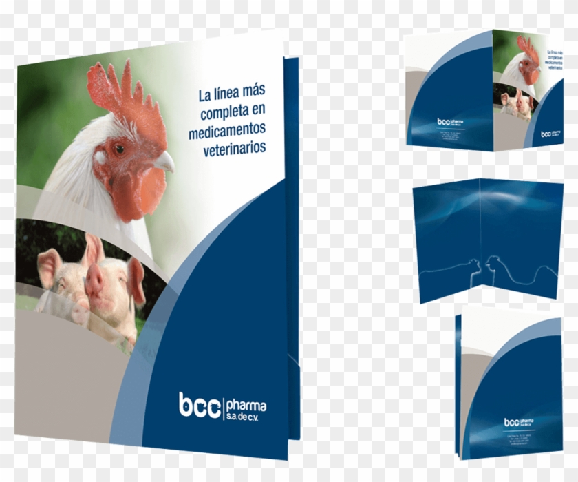 Brochure , Png Download - Rooster Clipart #5820139
