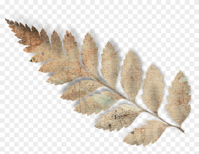 Publicado Por Unknown En - Scrap Bautizo Png Clipart