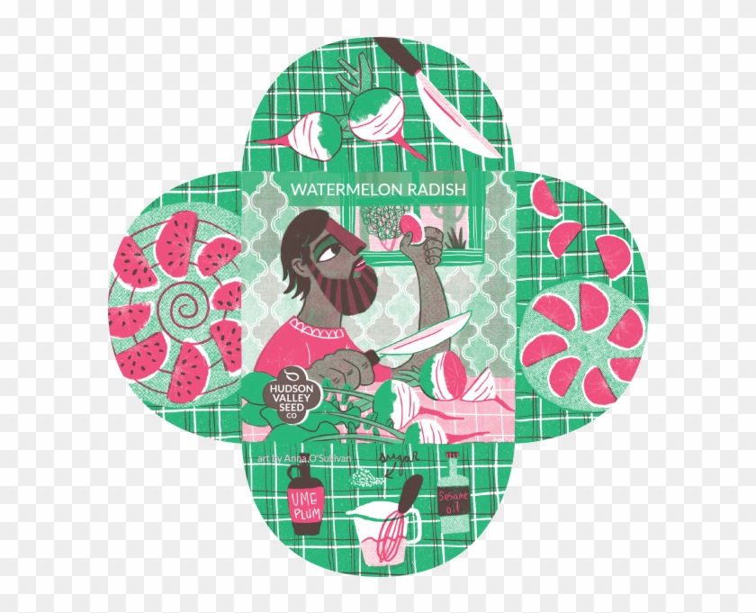 Watermelon Radish On Display - Illustration Clipart