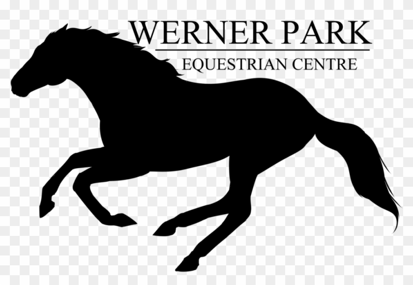 Clip Art Black And White Stock Vector Horse Stable - Stallion - Png Download