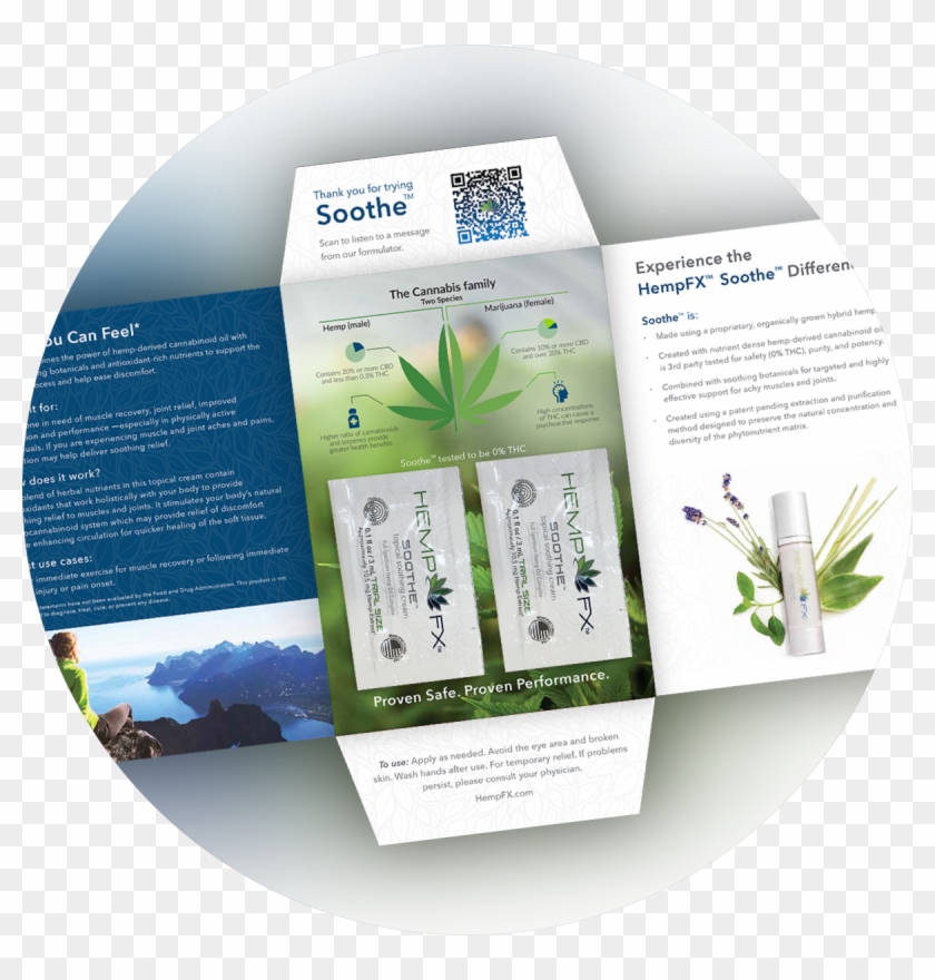 Brochure Clipart #5823790