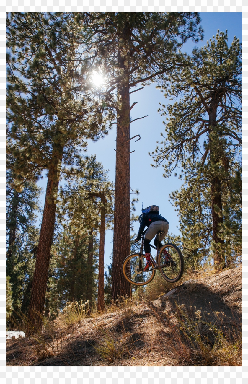 [show Thumbnails] Clipart