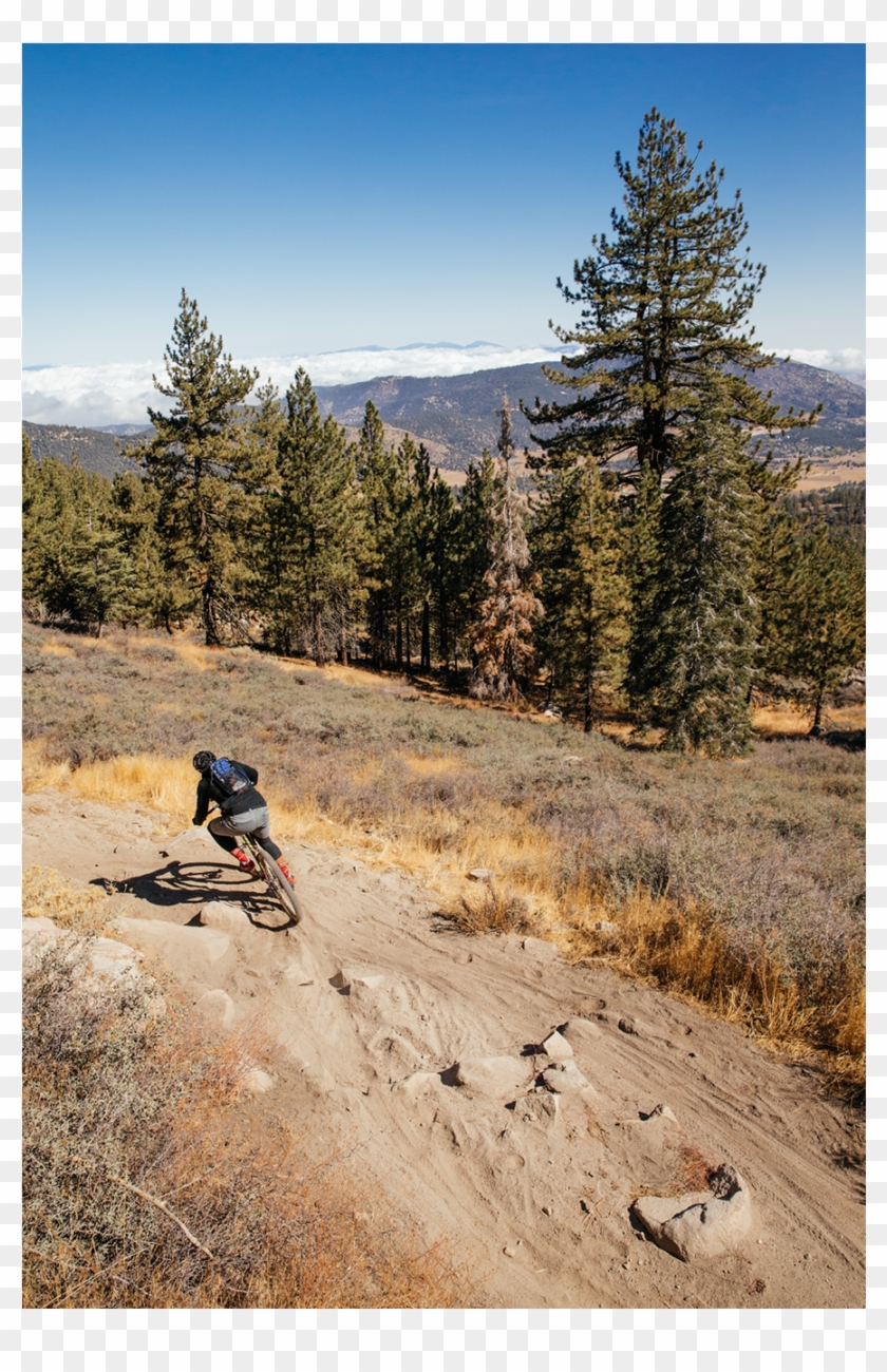 [show Thumbnails] Clipart