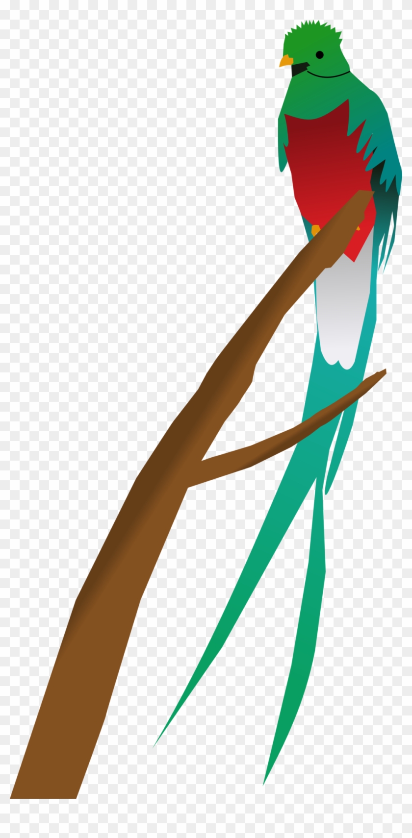 Quetzal Png - Tropical Bird Clipart Transparent Png #5825134
