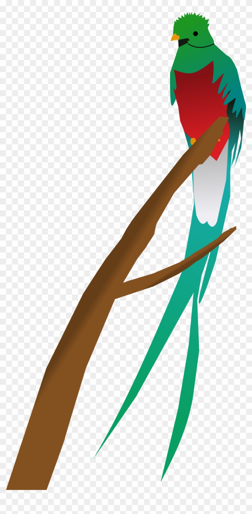 Quetzal Png - Tropical Bird Clipart Transparent Png
