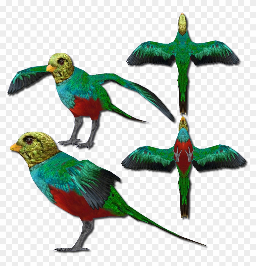 Golden Headed Quetzal V2 - Parrot Clipart #5825284
