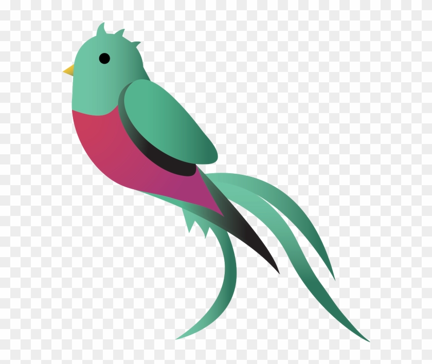 Qchain - Guatemala Bird Logo Clipart