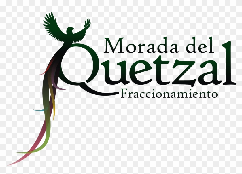 Logo Quetzal Verde - Calligraphy Clipart