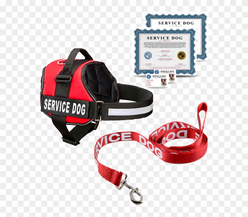 Price - All In One No Pull Dog Harness Clipart