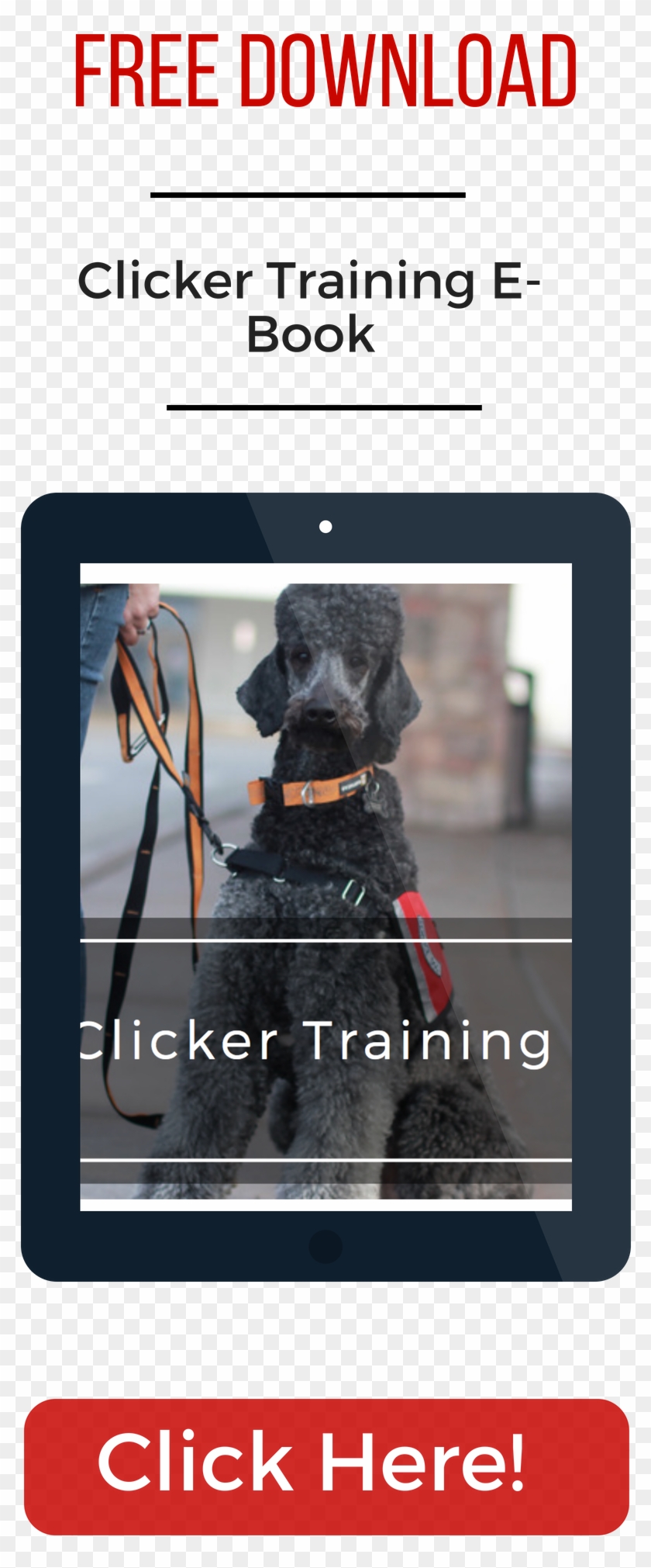 Clicker Training 101 - Dog Catches Something Clipart #5826653