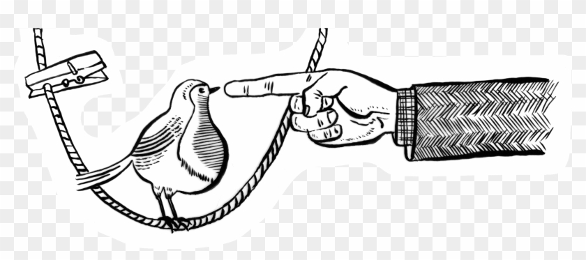 Robin - Illustration Clipart