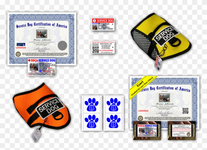 Orange Clipart #5827160