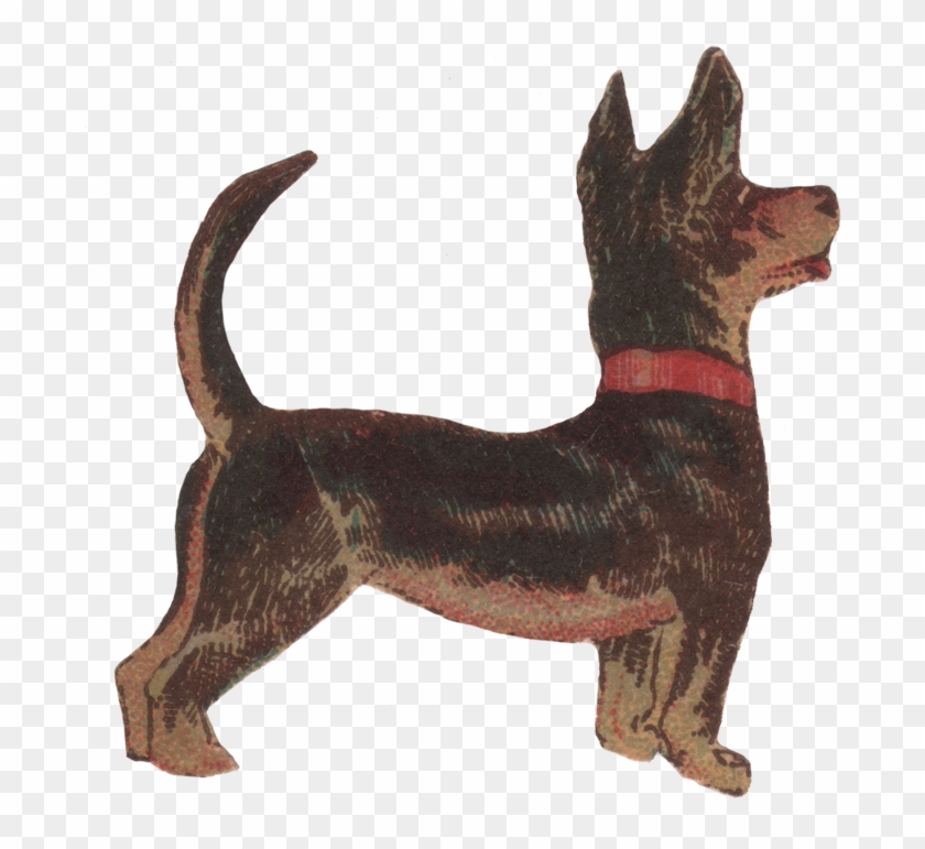 Darling Dog - Ancient Dog Breeds Clipart