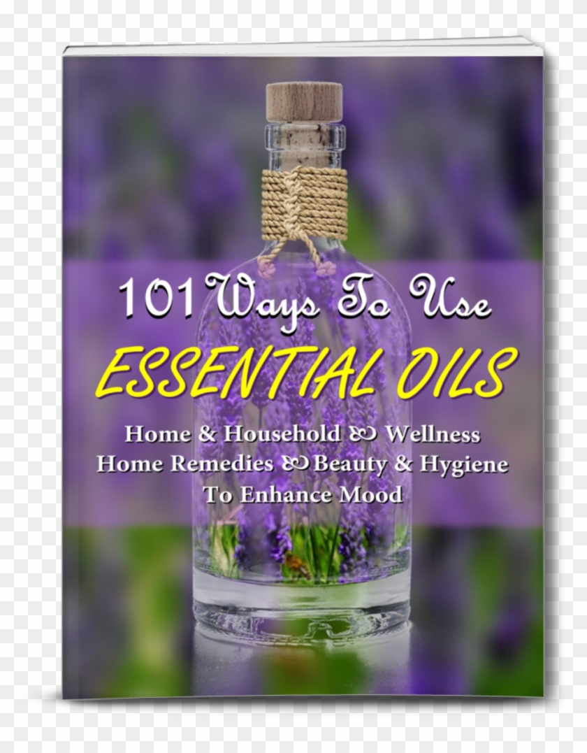 New Graphic - Lavender Clipart