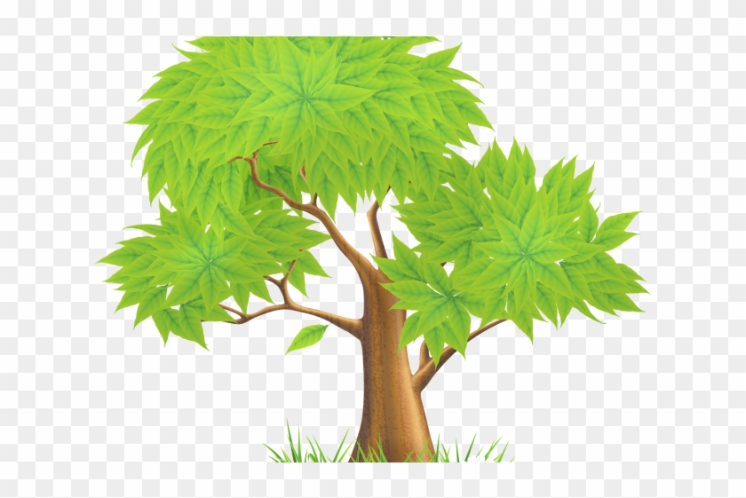 Tree Clipart Clipart - Tree Clipart Png Transparent #5828337