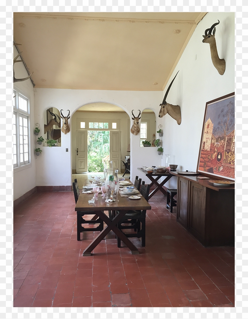 Cuba0615-4 - Ernest Hemingway House Clipart #5829893