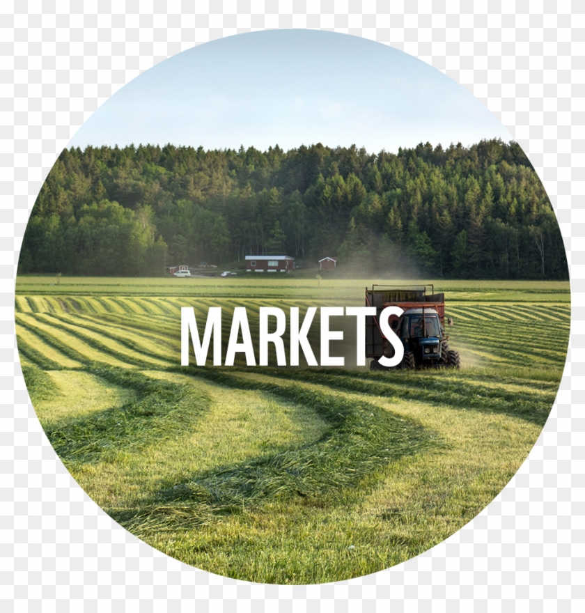 Across 3 Cross-cutting Drivers - Grass Clipart