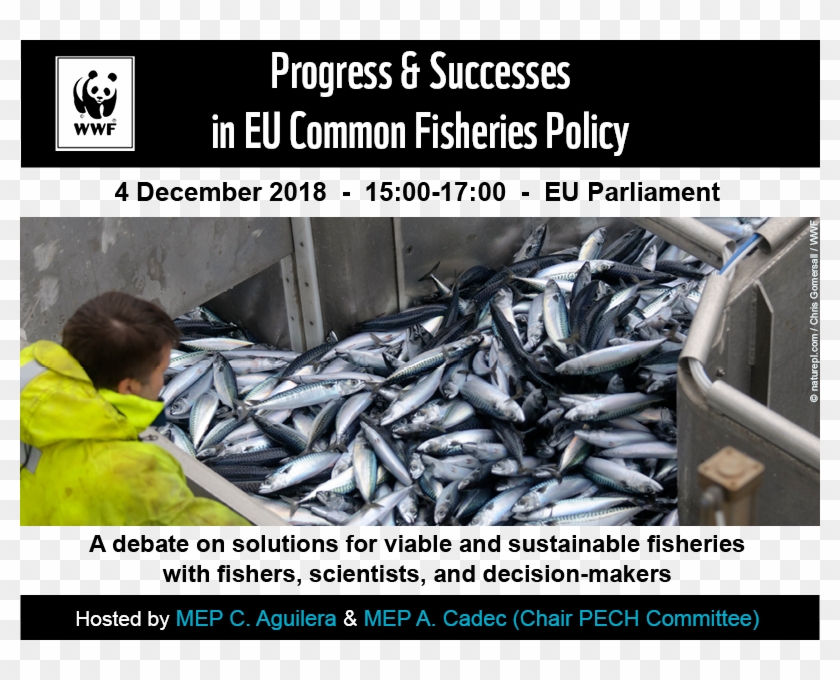 Wwf Eu - Fish Products Clipart #5830906