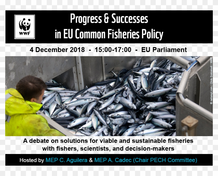 Wwf Eu - Fish Products Clipart