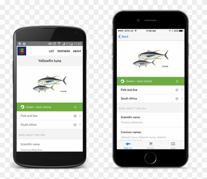 Wwf App Clipart #5831026