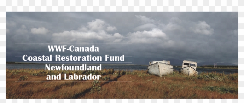 For Our Speaker Series Last Month, Gis And Conservation - Grass Clipart #5831057