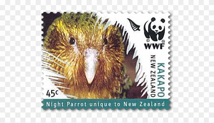 Product Listing For 2005 World Wildlife Fund For Nature - Wwf Clipart