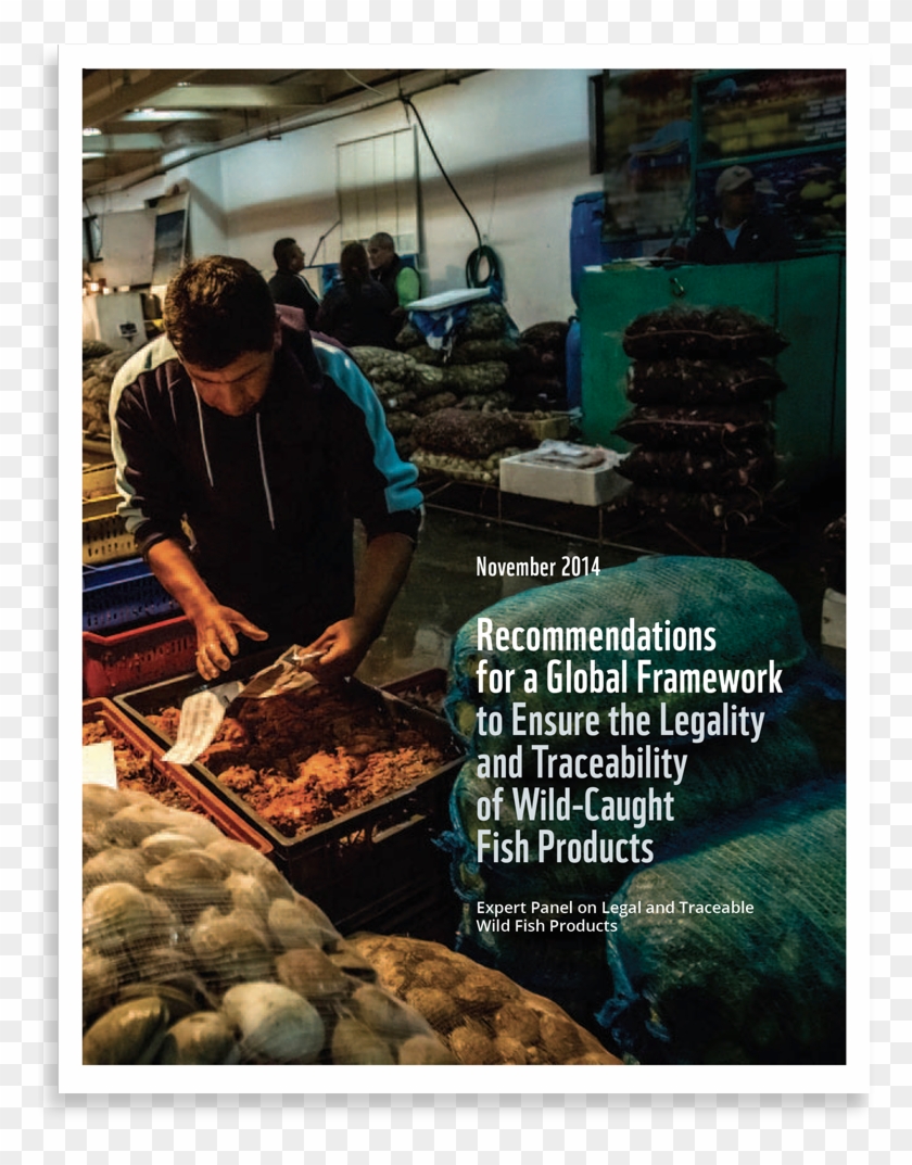 Cover - Mussel Clipart #5831286