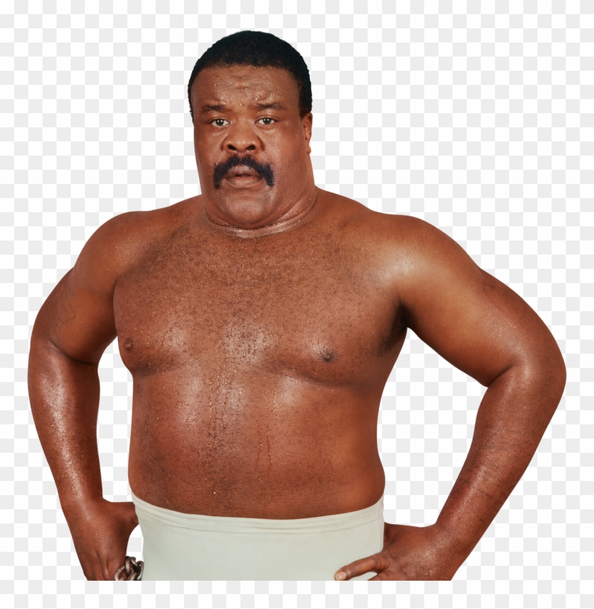 Junkyard Dog Wrestler Clipart