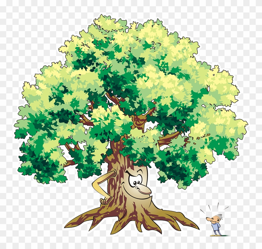 Tree Trees Forest Vegetation Adobe Adobe Photoshop - Tree Clipart #5831789