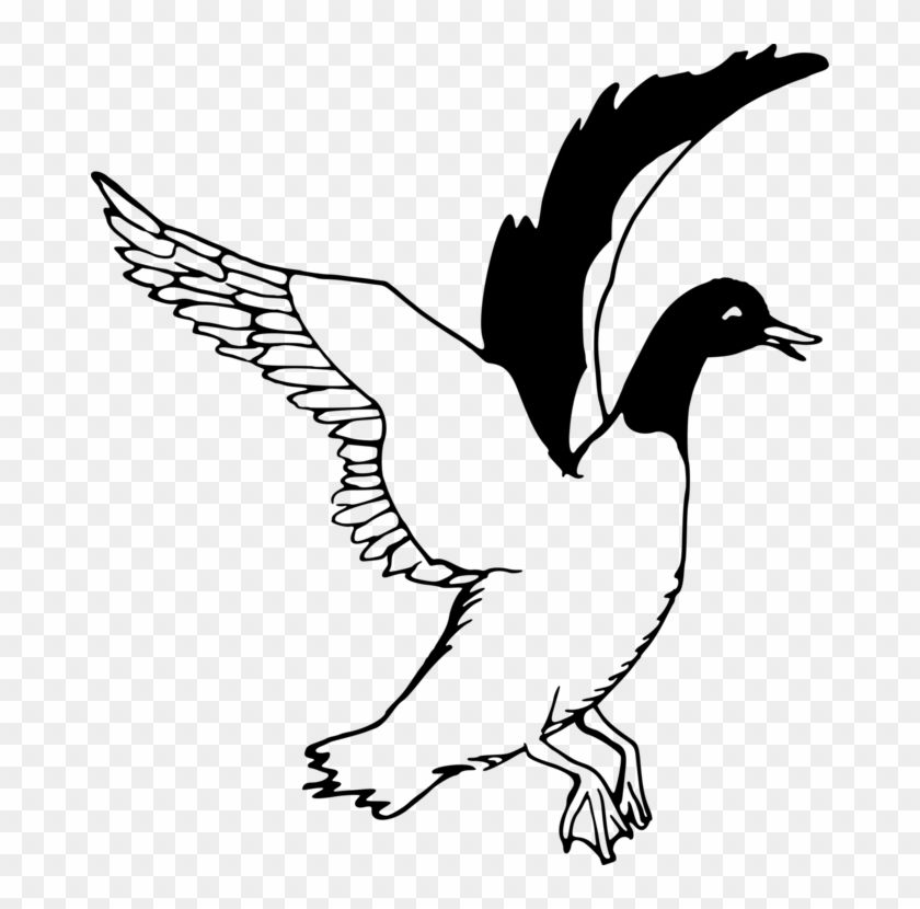 Duck Goose Drawing Line Art Black And White - Duck Flying Clipart Black And White - Png Download #5832720