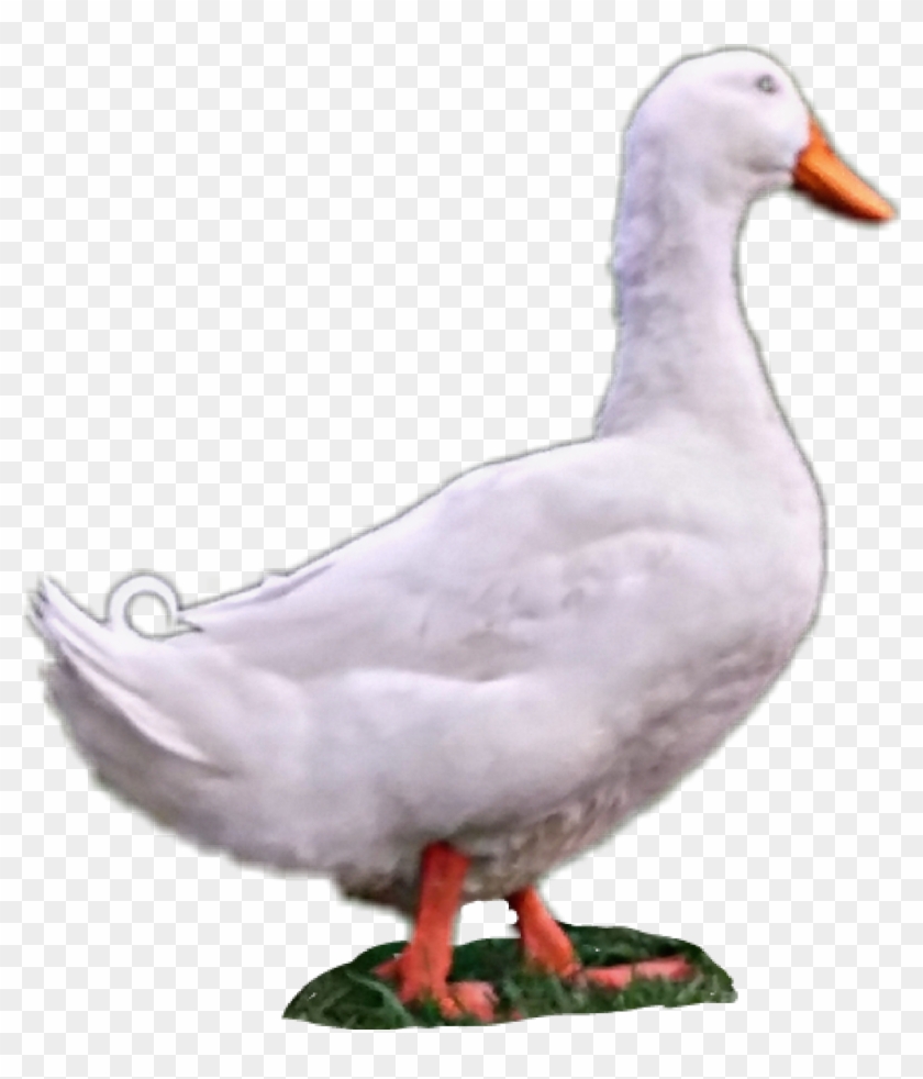 Duck Sticker - Duck Clipart #5833119