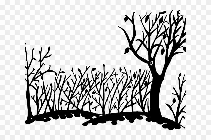 Nature Clipart Transparent - Nature Drawing Transparent - Png Download