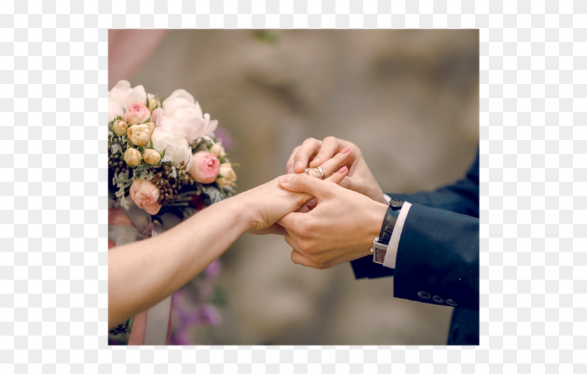 Add To Board Wedding Ring For Wilson And Steffhany - Bodas En Septiembre Clipart