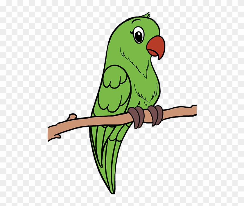 Drawing Feather Parrot - Draw Parrot Step By Step Clipart #5835324