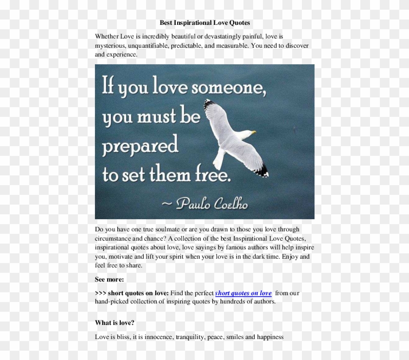 Best Inspirational Love Quotes - Set Your Love Free Quotes Clipart