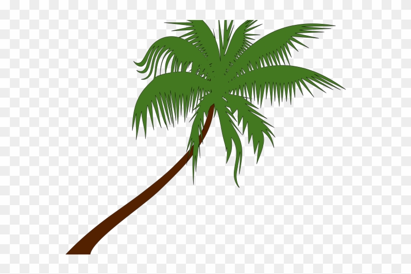 Last Viewed Post - Transparent Palm Tree Vector Clipart #5835696